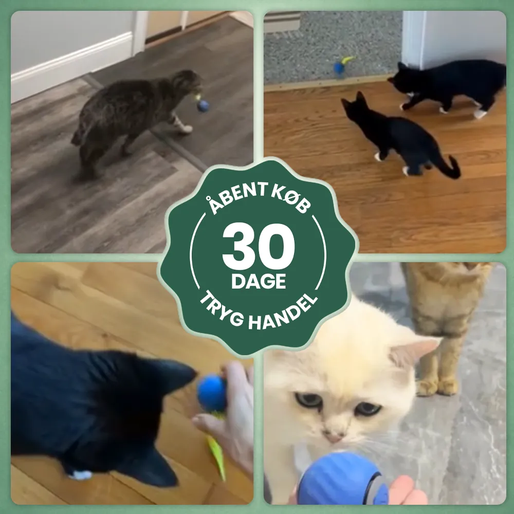 Instinkt™ – vækker jægeren i din kat